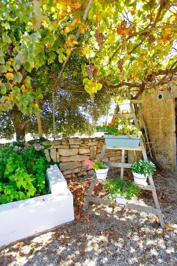 Es Corto De Alcudia Villa Spain